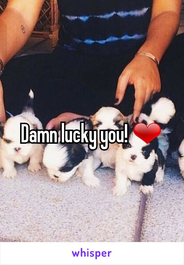 Damn lucky you! ❤️