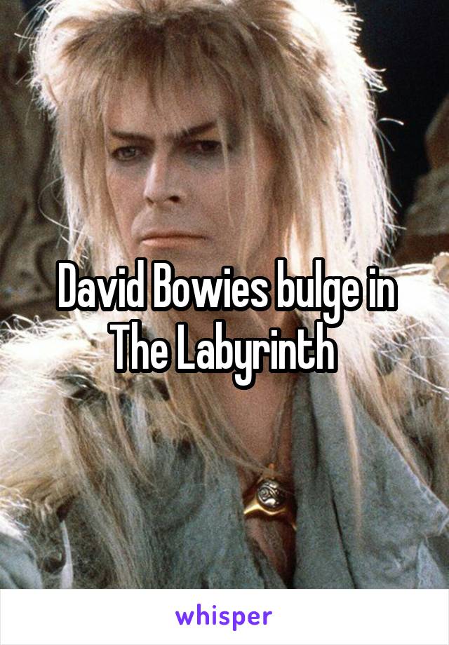 David Bowies bulge in The Labyrinth 