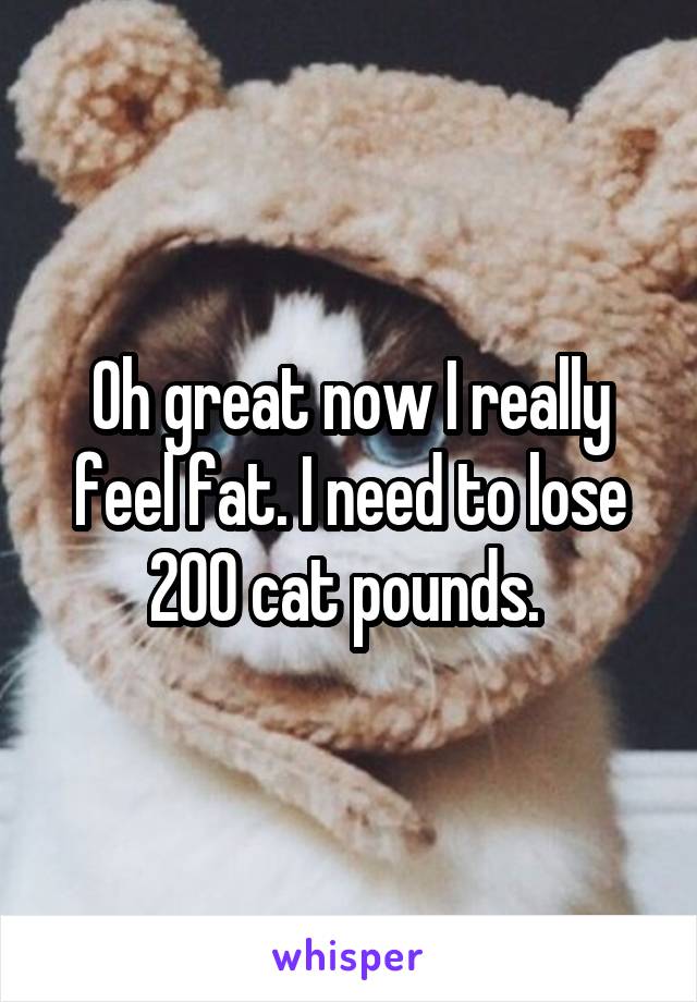Oh great now I really feel fat. I need to lose 200 cat pounds. 