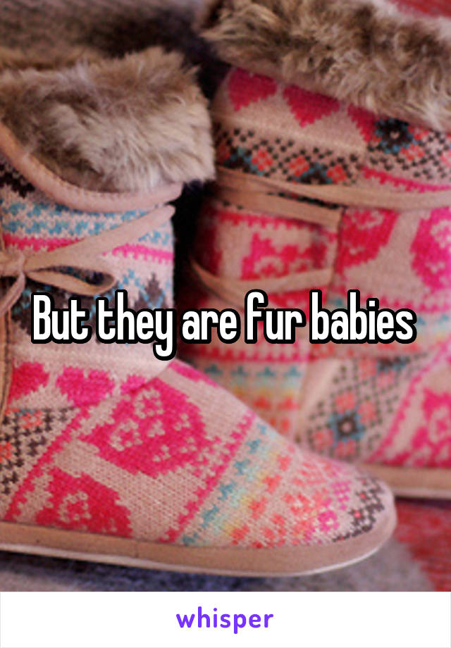 But they are fur babies 