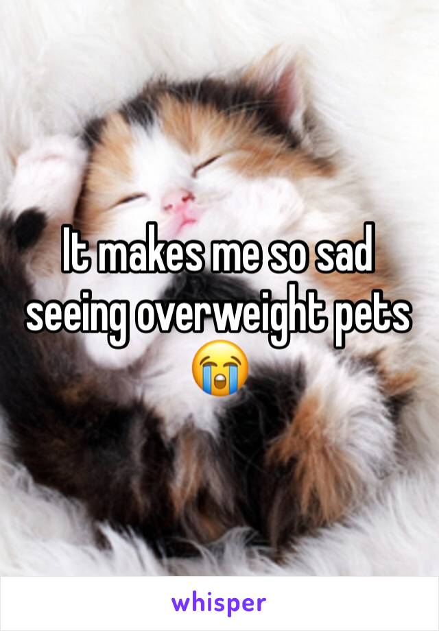 It makes me so sad seeing overweight pets 😭 