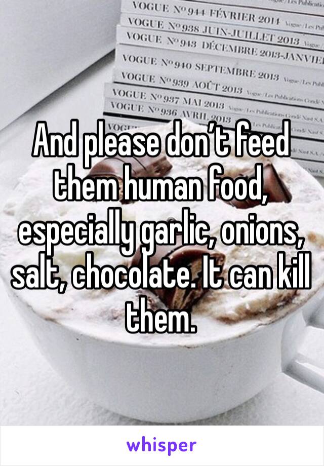 And please don’t feed them human food, especially garlic, onions, salt, chocolate. It can kill them. 