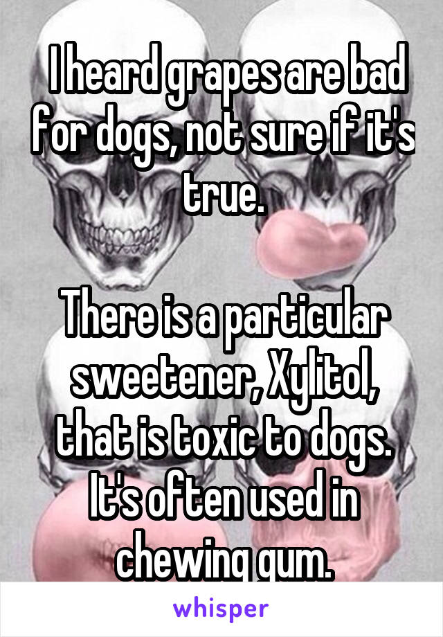  I heard grapes are bad for dogs, not sure if it's true.

There is a particular sweetener, Xylitol, that is toxic to dogs. It's often used in chewing gum.