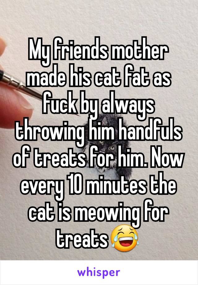 My friends mother made his cat fat as fuck by always throwing him handfuls of treats for him. Now every 10 minutes the cat is meowing for treats😂