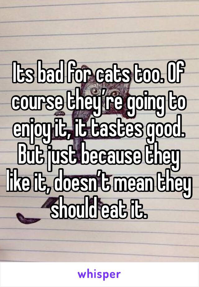 Its bad for cats too. Of course they’re going to enjoy it, it tastes good. But just because they like it, doesn’t mean they should eat it. 