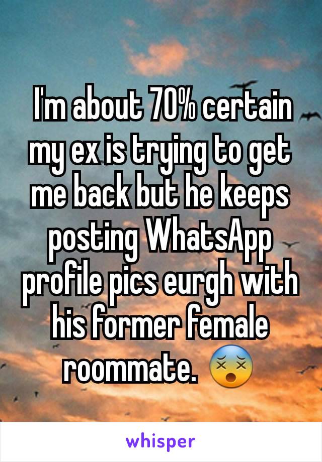  I'm about 70% certain my ex is trying to get me back but he keeps posting WhatsApp profile pics eurgh with his former female roommate. 😵