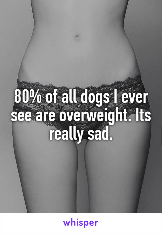 80% of all dogs I ever see are overweight. Its really sad.