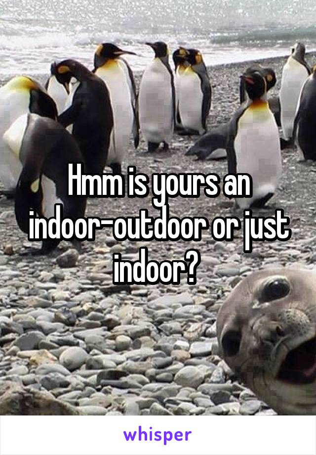 Hmm is yours an indoor-outdoor or just indoor? 