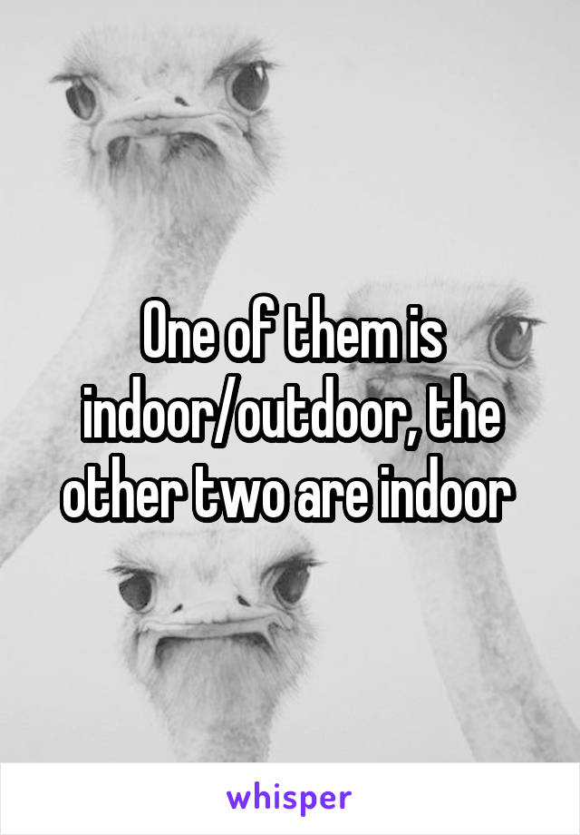 One of them is indoor/outdoor, the other two are indoor 