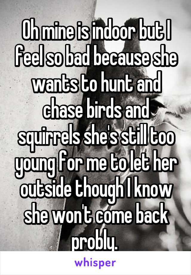 Oh mine is indoor but I feel so bad because she wants to hunt and chase birds and squirrels she's still too young for me to let her outside though I know she won't come back probly. 