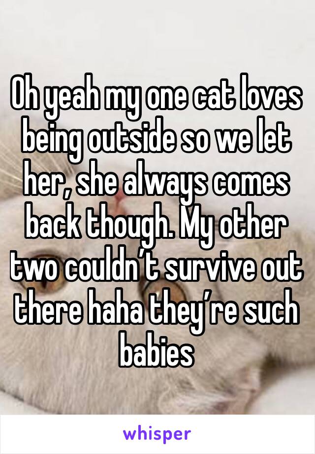 Oh yeah my one cat loves being outside so we let her, she always comes back though. My other two couldn’t survive out there haha they’re such babies 