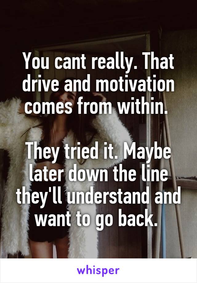 You cant really. That drive and motivation comes from within. 

They tried it. Maybe later down the line they'll understand and want to go back. 