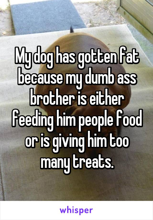 My dog has gotten fat because my dumb ass brother is either feeding him people food or is giving him too many treats.