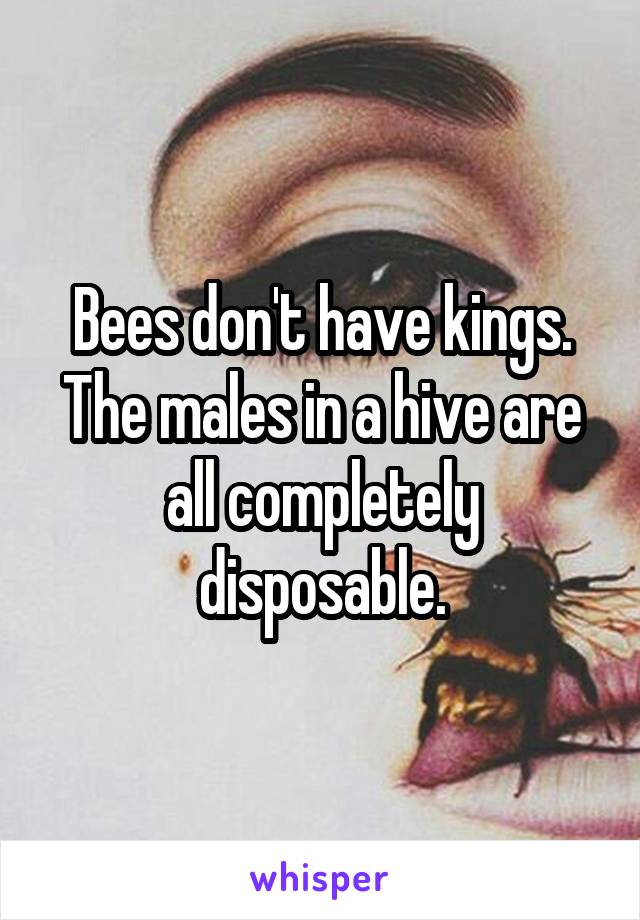 Bees don't have kings. The males in a hive are all completely disposable.