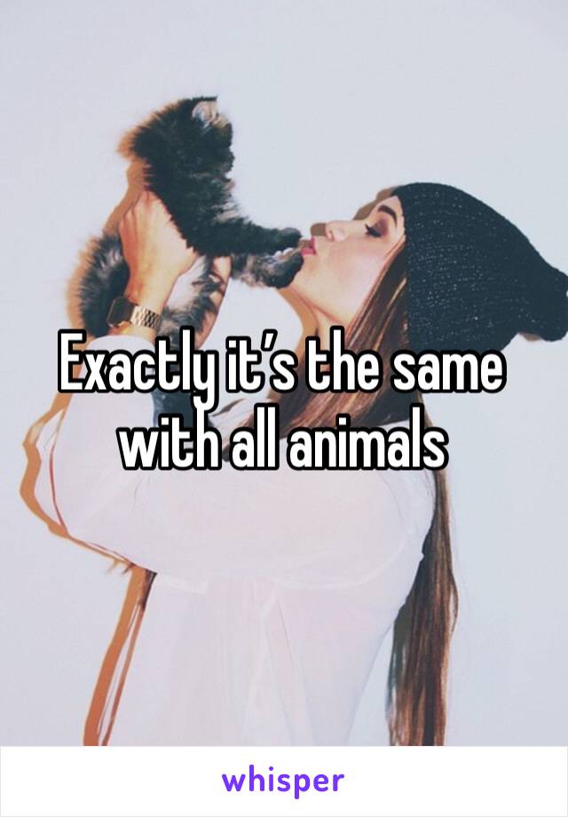 Exactly it’s the same with all animals 