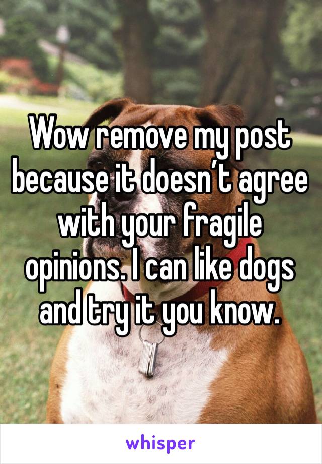 Wow remove my post because it doesn’t agree with your fragile opinions. I can like dogs and try it you know.