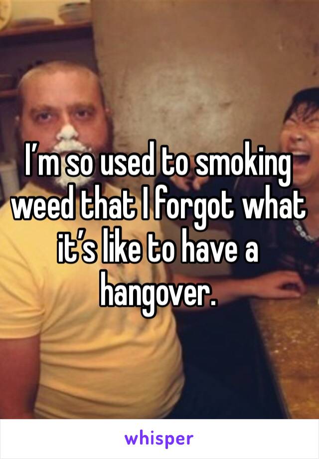I’m so used to smoking weed that I forgot what it’s like to have a hangover. 