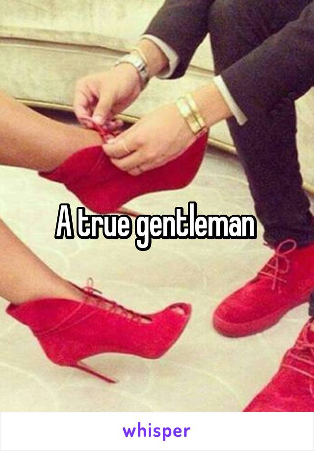 A true gentleman 