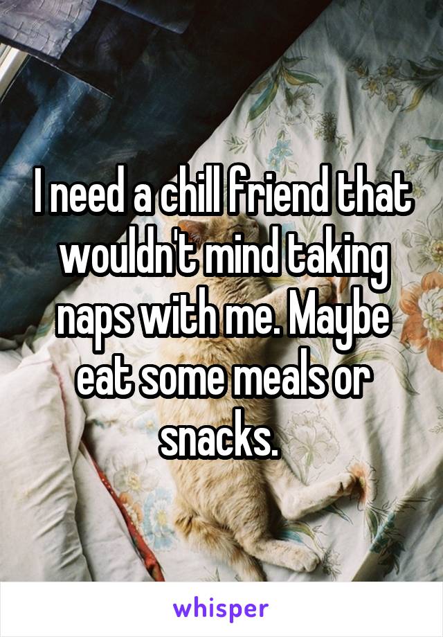 I need a chill friend that wouldn't mind taking naps with me. Maybe eat some meals or snacks. 