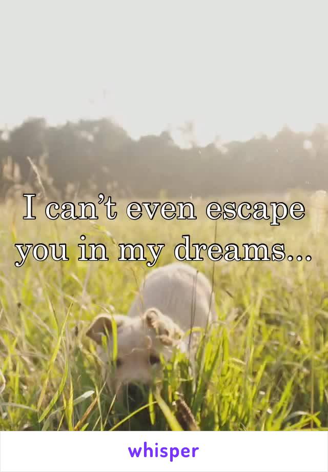 I can’t even escape you in my dreams... 