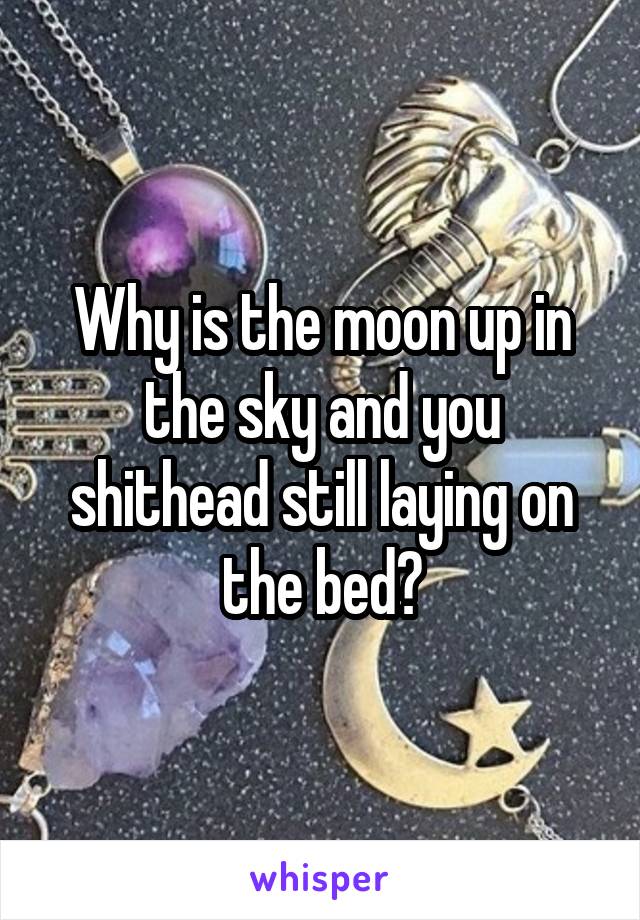 Why is the moon up in the sky and you shithead still laying on the bed?