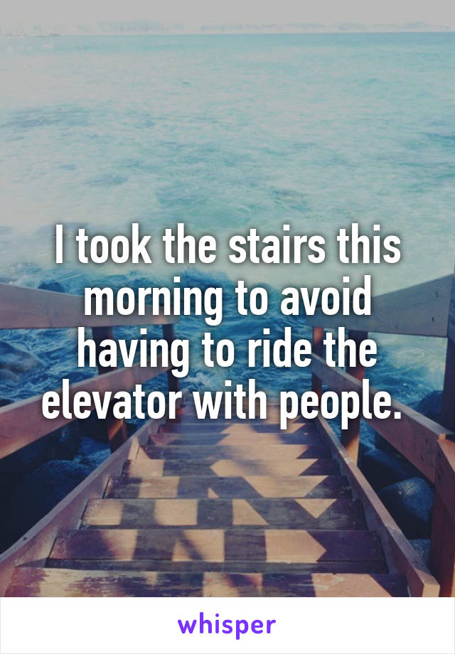 I took the stairs this morning to avoid having to ride the elevator with people. 
