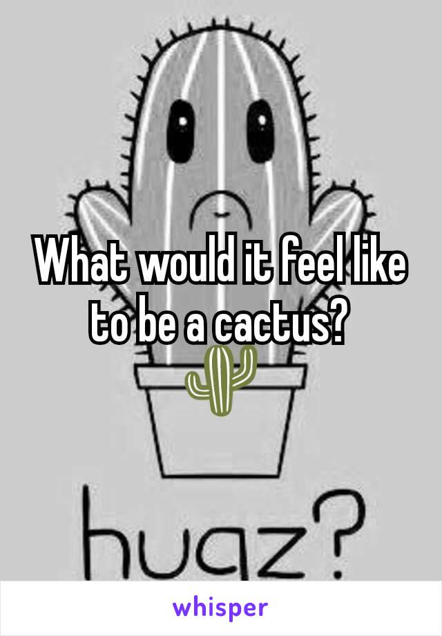 What would it feel like to be a cactus?
🌵