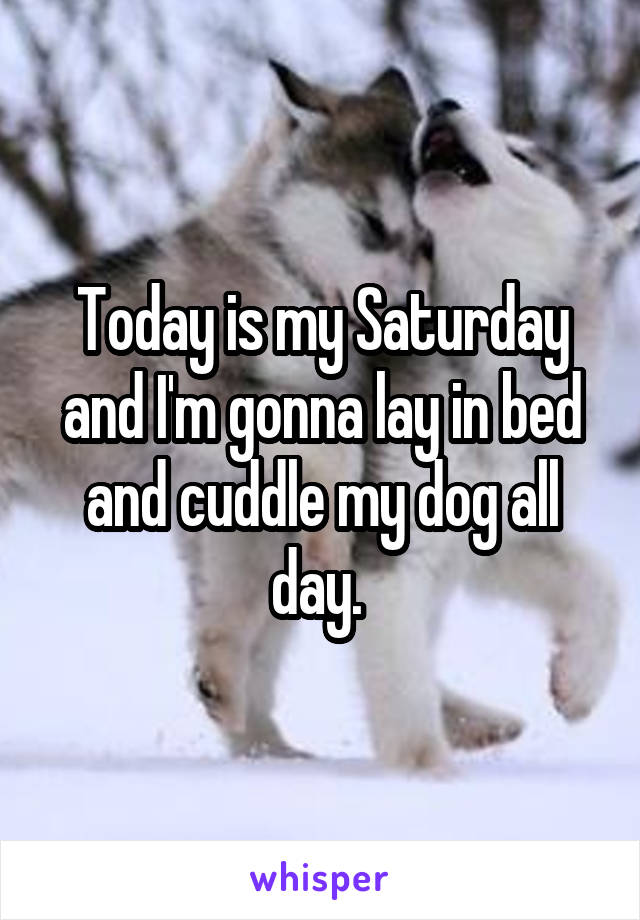 Today is my Saturday and I'm gonna lay in bed and cuddle my dog all day. 