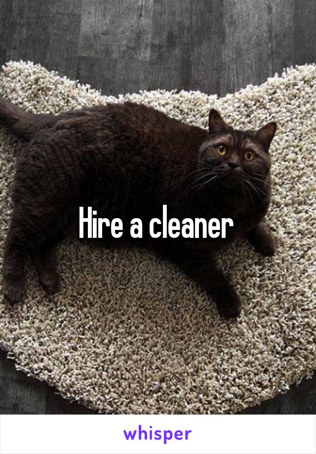 Hire a cleaner 