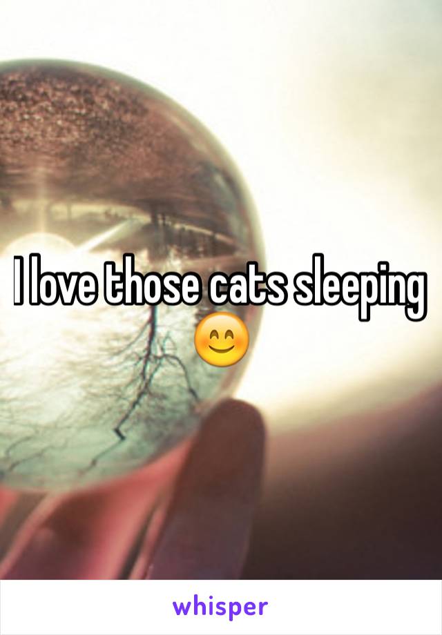 I love those cats sleeping 😊