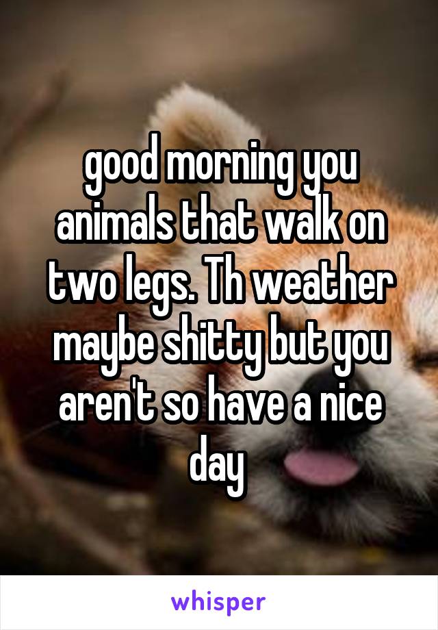 good morning you animals that walk on two legs. Th weather maybe shitty but you aren't so have a nice day 