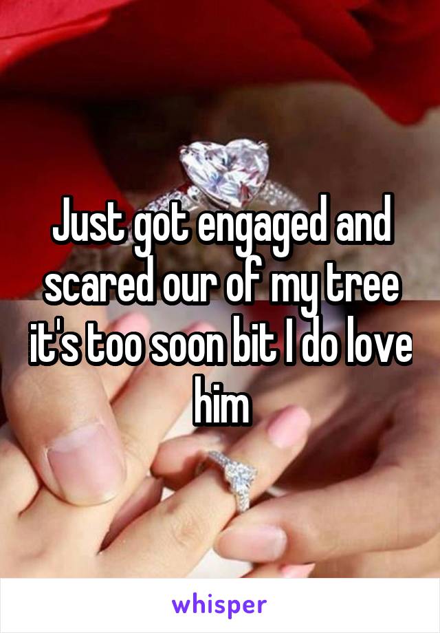 Just got engaged and scared our of my tree it's too soon bit I do love him
