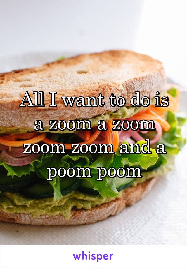 All I want to do is a zoom a zoom zoom zoom and a poom poom
