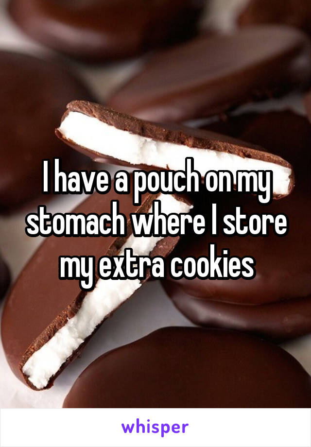 I have a pouch on my stomach where I store my extra cookies