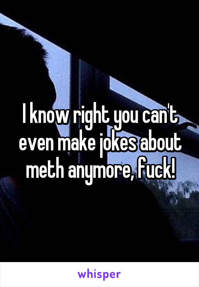 I know right you can't even make jokes about meth anymore, fuck!