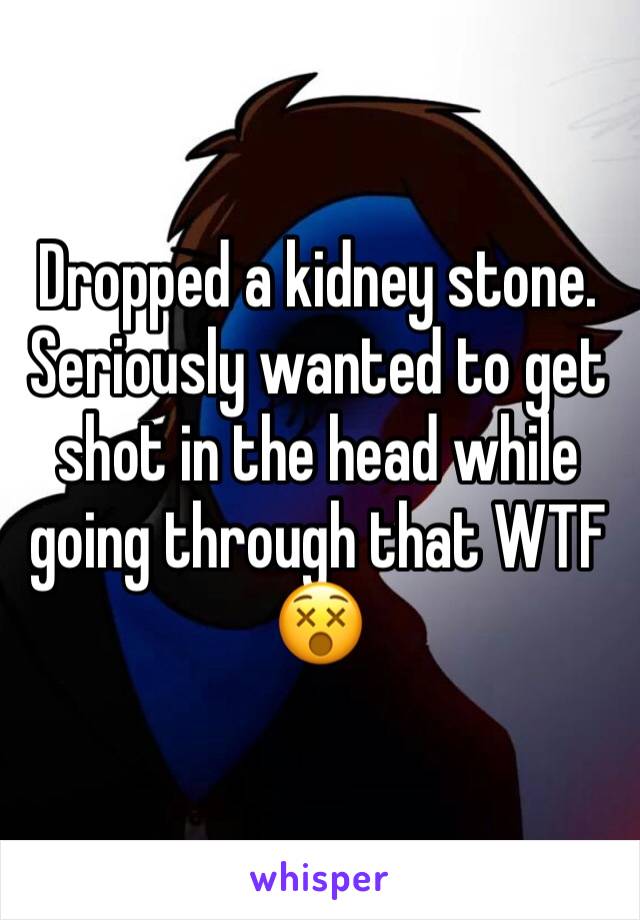 Dropped a kidney stone. Seriously wanted to get shot in the head while going through that WTF 
😵