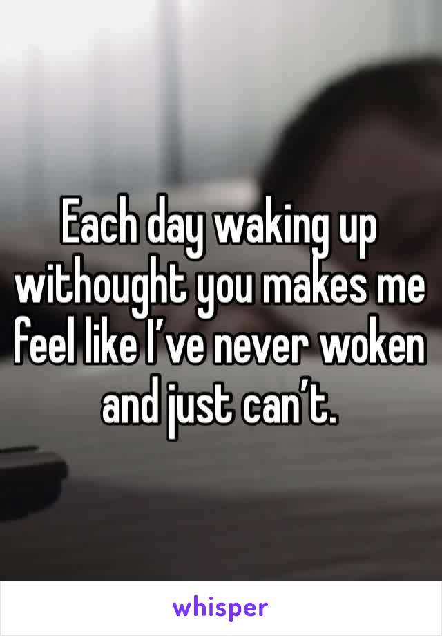Each day waking up withought you makes me feel like I’ve never woken and just can’t. 