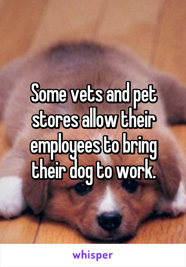 Some vets and pet stores allow their employees to bring their dog to work.