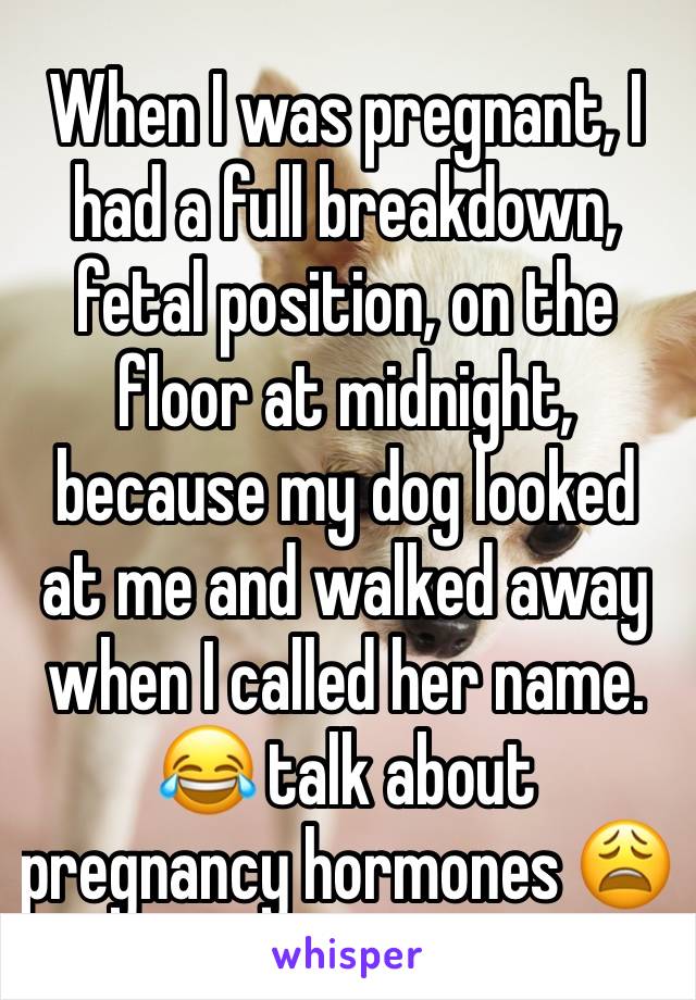 When I was pregnant, I had a full breakdown, fetal position, on the floor at midnight, because my dog looked at me and walked away when I called her name. 😂 talk about pregnancy hormones 😩