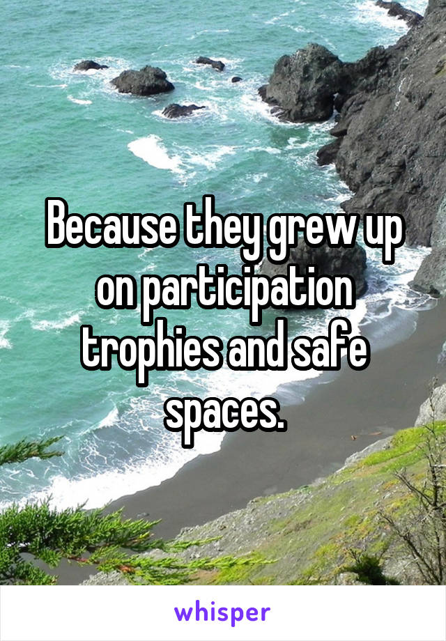 Because they grew up on participation trophies and safe spaces.