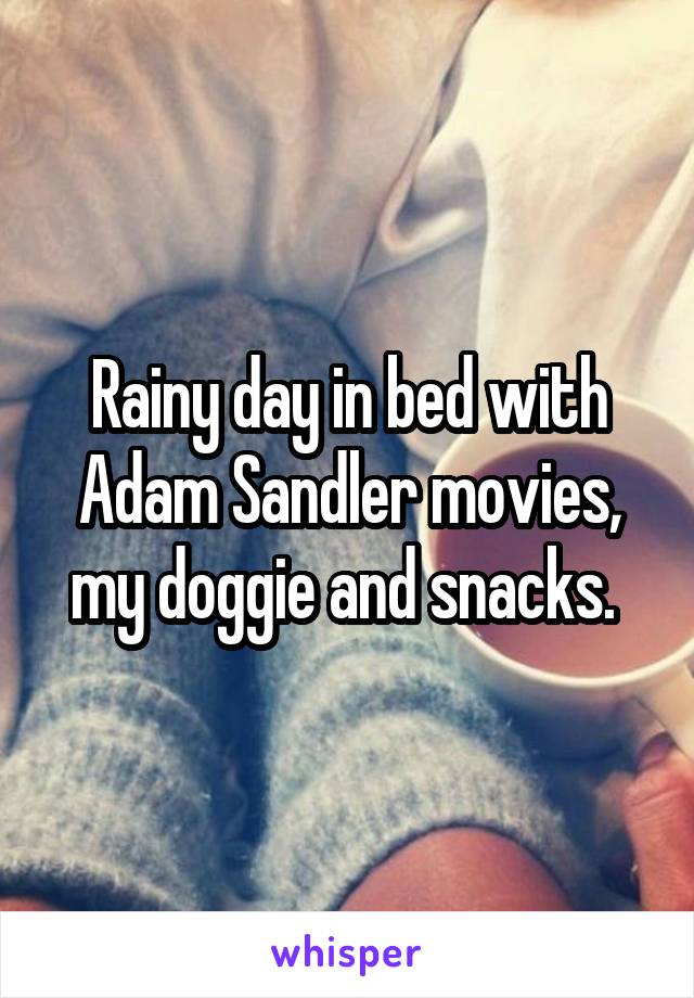 Rainy day in bed with Adam Sandler movies, my doggie and snacks. 