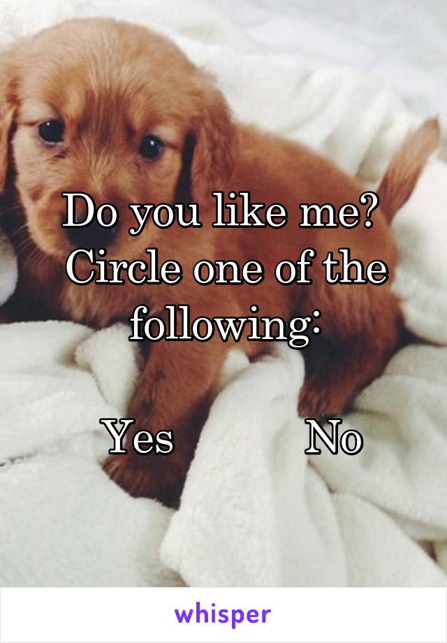 Do you like me? 
Circle one of the following:

 Yes           No