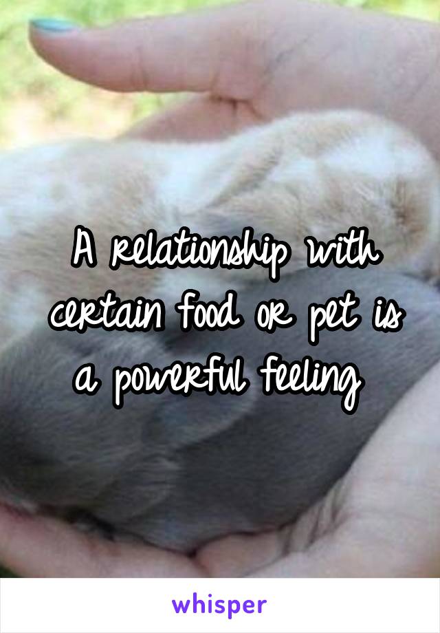 A relationship with certain food or pet is a powerful feeling 