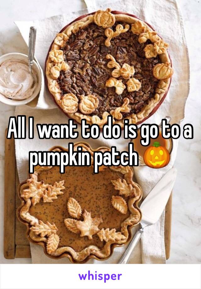 All I want to do is go to a pumpkin patch 🎃