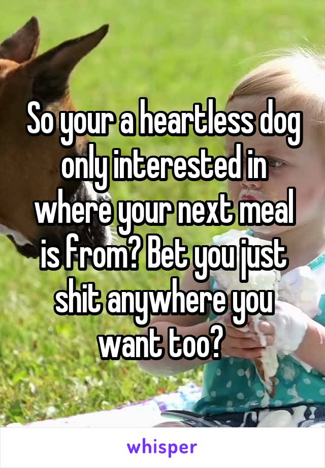 So your a heartless dog only interested in where your next meal is from? Bet you just shit anywhere you want too? 