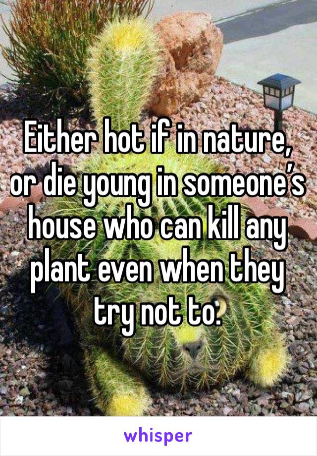 Either hot if in nature, or die young in someone’s house who can kill any plant even when they try not to. 