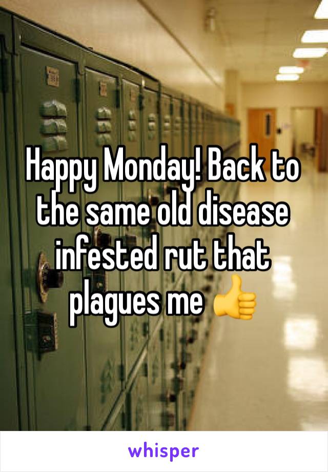 Happy Monday! Back to the same old disease infested rut that plagues me 👍