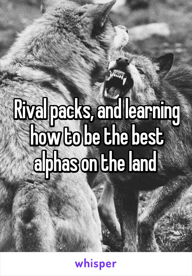Rival packs, and learning how to be the best alphas on the land 