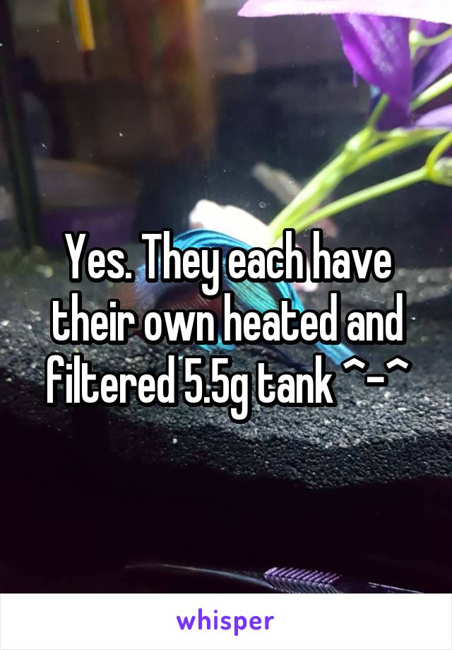 Yes. They each have their own heated and filtered 5.5g tank ^-^