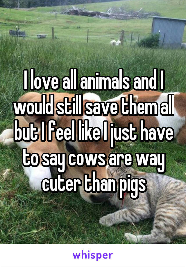 I love all animals and I would still save them all but I feel like I just have to say cows are way cuter than pigs